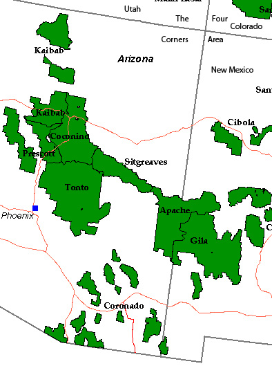 Coconino National Forest